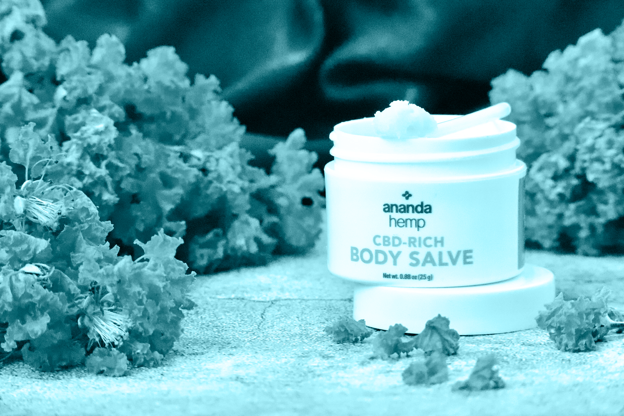 CBD Topicals [Your Skin Will Thank Us Later]