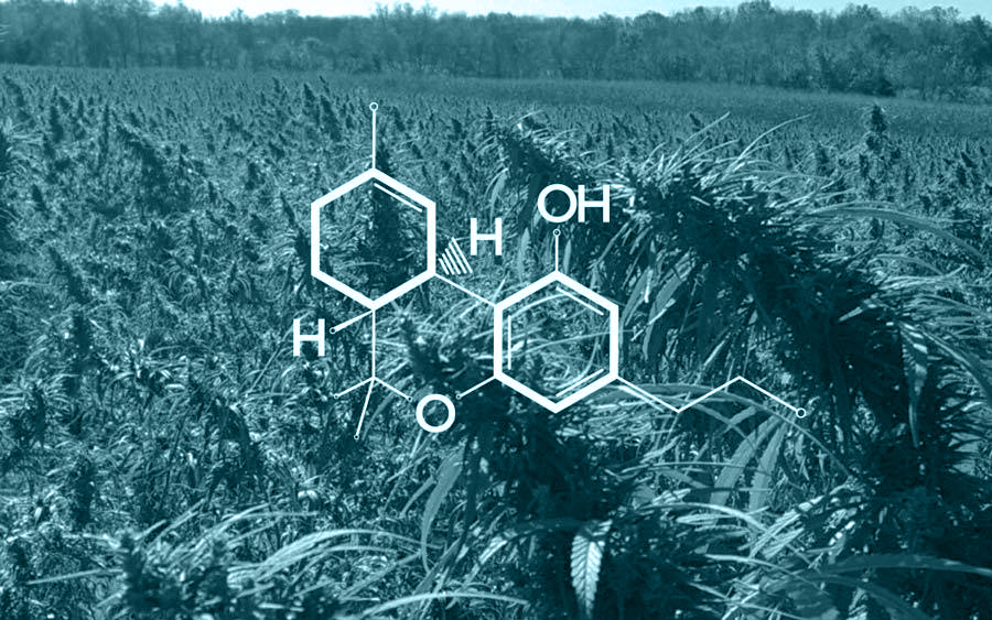 THCV: tetrahydrocannabivarin cannabinoid in hemp